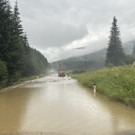ABD0155-20220629.jpg