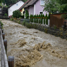 ABD0145-20220629.jpg