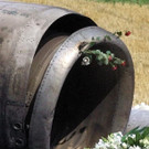 565400.jpg