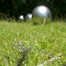 ABD0076-20120626.jpg