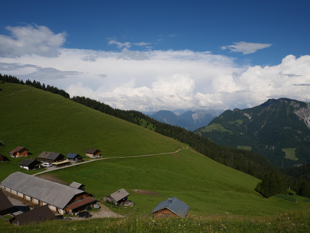 Gamp 300622_41.JPG