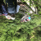 Wanderung Bürser Schlucht 