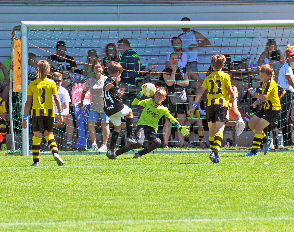Mini-WM 02-07-22 794.jpg