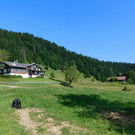 DSCI7493.JPG