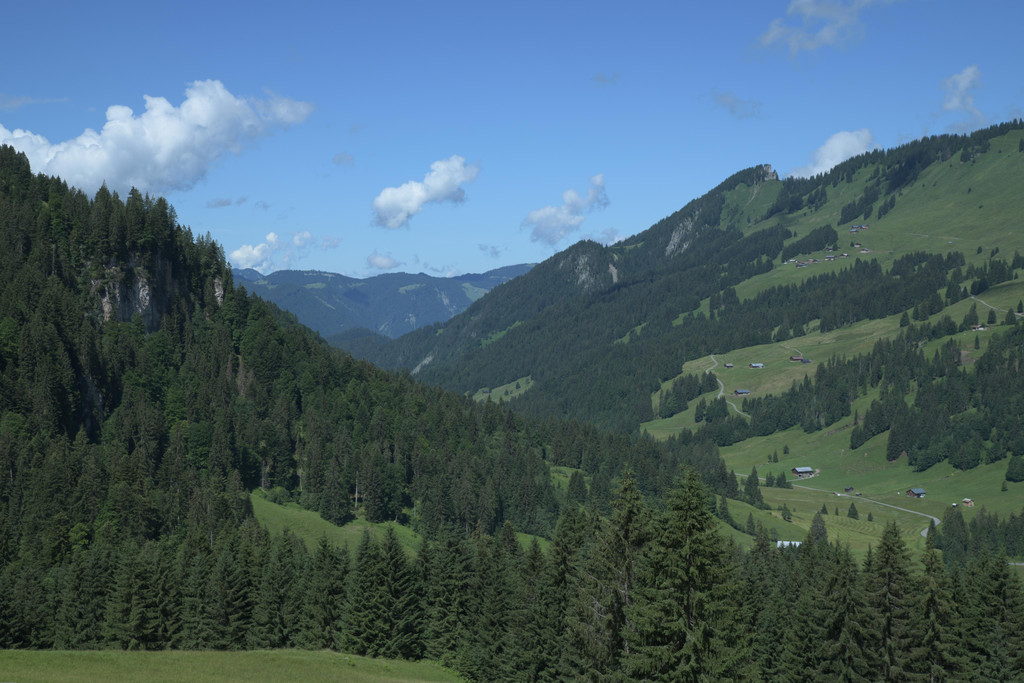 DSC_2367.JPG