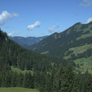 DSC_2367.JPG