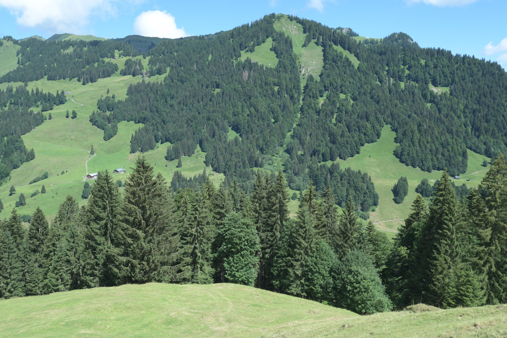 DSC_2372.JPG
