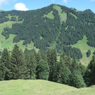DSC_2372.JPG