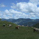 DSC_2392.JPG