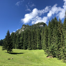IMG_8193.JPG