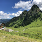 IMG_8225.JPG