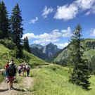 IMG_8228.JPG