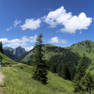 IMG_8230.JPG
