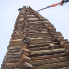 991081.jpg