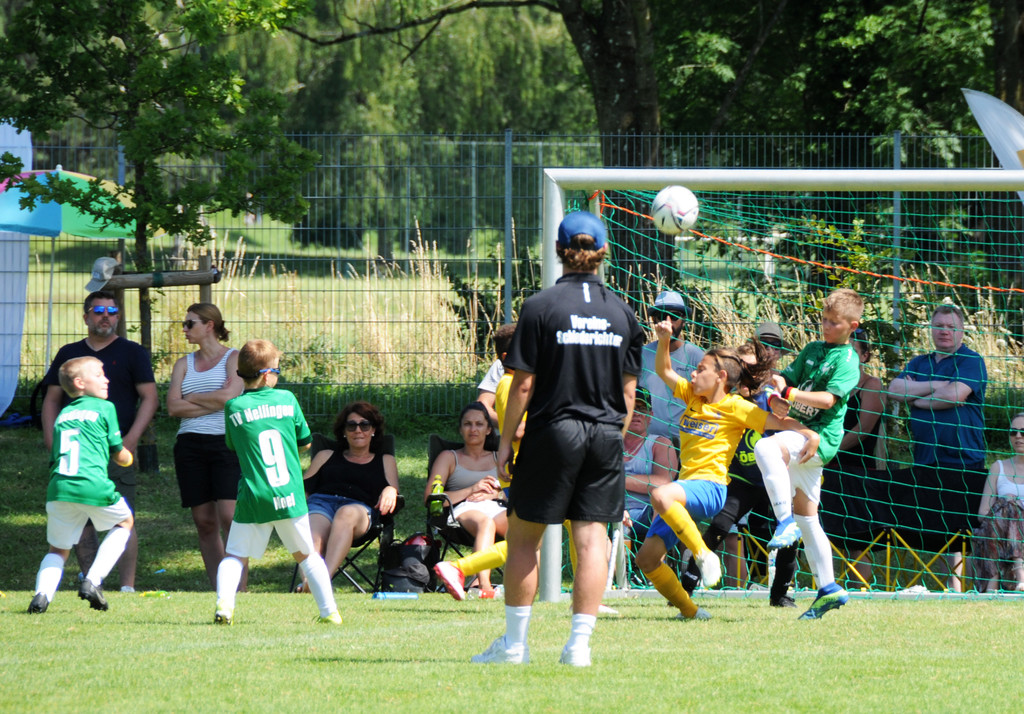 Mini-WM 03-07-22 883.jpg