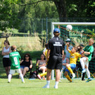 Mini-WM 03-07-22 883.jpg