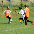 Mini-WM 03-07-22 901.jpg