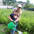 IMG_3303a.jpg