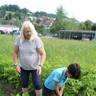 IMG_3307a.jpg