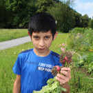 IMG_3324a.jpg