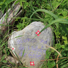 IMG_3331ab.jpg