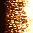 992573.jpg