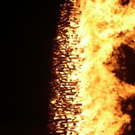 992574.jpg