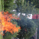 IMG_8892.JPG