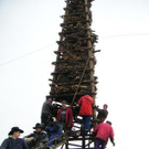 993711.jpg