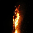 993734.jpg