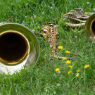 Bregenzerwa__lder Bezirksmusikfest-5.JPG
