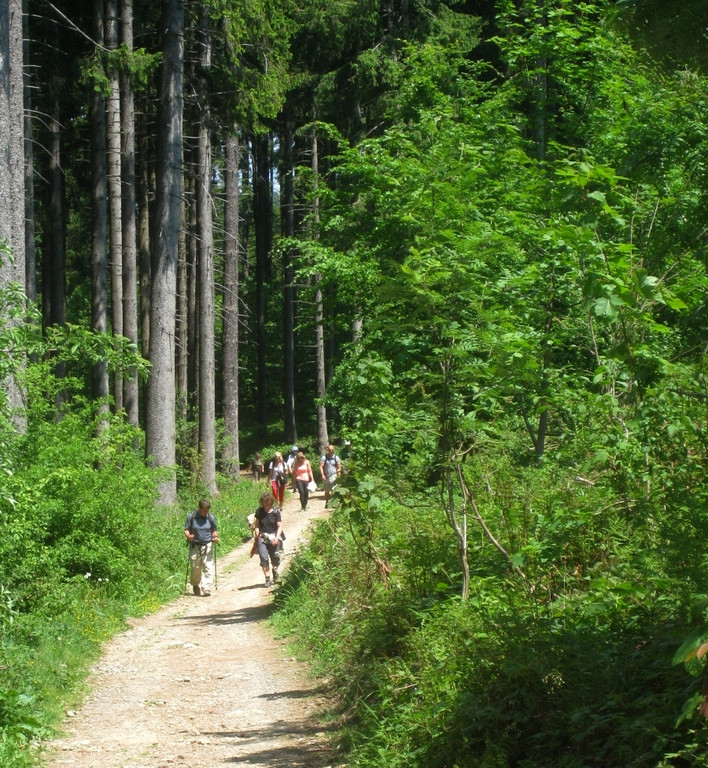 Eichenberg D G__STE-INFO Symbolfotos Sammlung BMS Juli 2022 _3_.jpg
