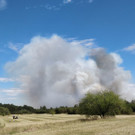Brand auf Bundesheer-Gelände in NÖ