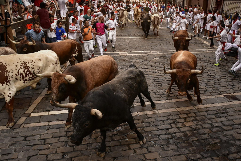 Spain_Running_of_the_Bulls_08743.jpg