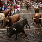Spain_Running_of_the_Bulls_08743.jpg