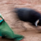 2022-07-14T181124Z_1920226901_RC2UBV9HETID_RTRMADP_3_SPAIN-CULTURE-BULLS.JPG