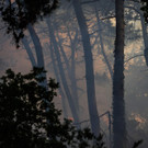 AFP_32ED49L.jpg