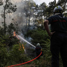 AFP_32ED4A4.jpg