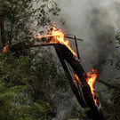 AFP_32ED4A7.jpg