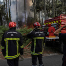 AFP_32ED4AP.jpg