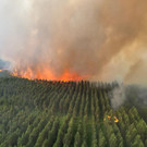 Europe_France_Wildfires_31119.jpg