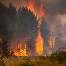 Europe_France_Wildfires_32246.jpg