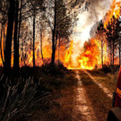 Europe_France_Wildfires_60087.jpg