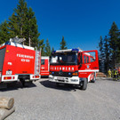BrandD__nserberg2.jpg
