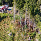 BrandD__nserberg3.jpg