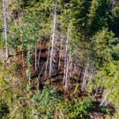 BrandD__nserberg4.jpg