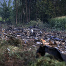 Greece_Plane_Crash_37790.jpg