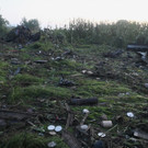 Greece_Plane_Crash_58003.jpg