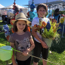 Einladung zum sommerlichen „Kunstmarkt“ in der Bodenseegemeinde Hard 