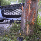 2200718_VUCat_Shourot010.JPG